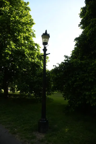 DSC_5936 (Large).JPG